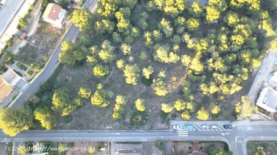 TERRENO 9600M PROGRAMADO URBANIZABLE NUCIA PINAR DE GARAITA - ALICANTE