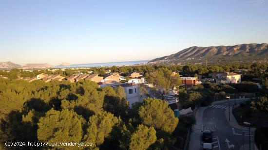 TERRENO 9600M PROGRAMADO URBANIZABLE NUCIA PINAR DE GARAITA - ALICANTE