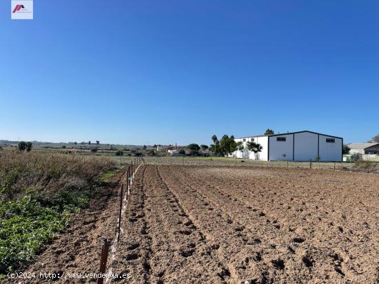  ¡OPORTUNIDAD! PARCELA RÚSTICA EN EL PUERTO DE SANTA MARÍA, ZONA IMBRUSQUETA - CADIZ 