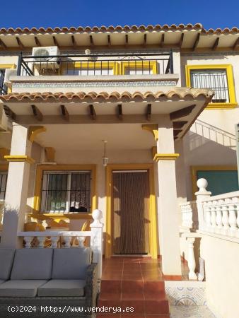 CHALET ADOSADO DE 2 DORMITORIOS 2 BAÑOS EN PLAYA FLAMENCA (ORIHUELA COSTA) ALICANTE - ALICANTE