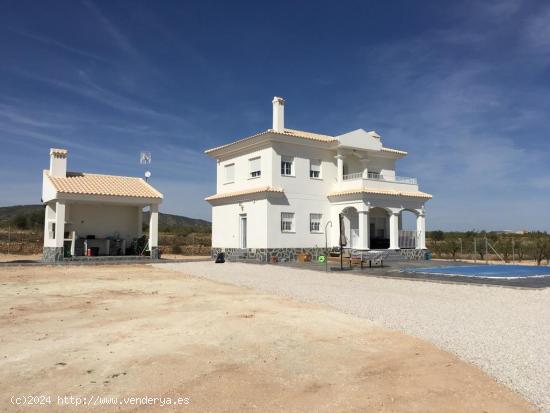 VILLAS DE OBRA NUEVA EN PINOSO - ALICANTE