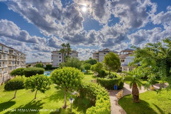 Se Vende en Torrevieja - ALICANTE