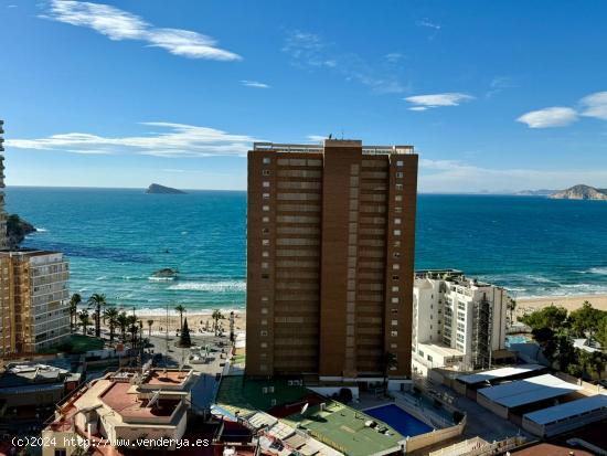 ¡Oportunidad única en Benidorm ! - ALICANTE