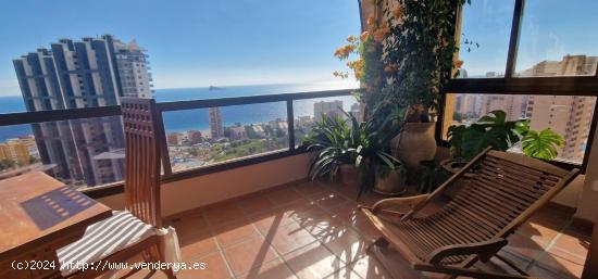 CALA DE BENIDORM  VENTA PISO DE 4 DORMITORIOS - ALICANTE