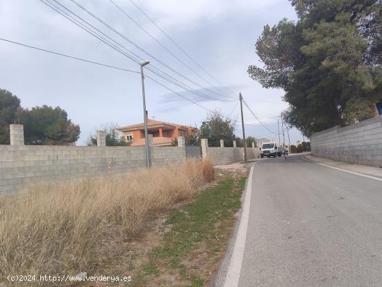 PARCELA URBANA EN ESQUINA CON CAMINO ASFALTADO - ALICANTE