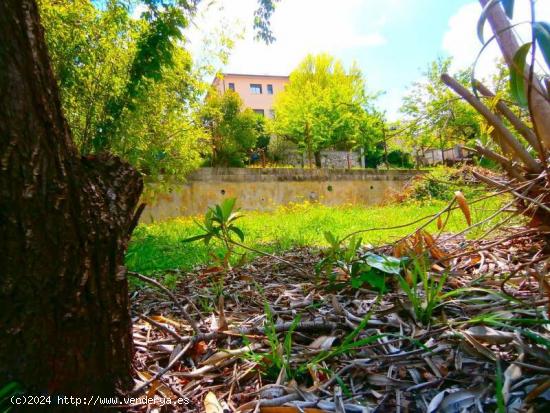 MASQUEFA URB. CAN PARELLA TERRENO MUY BIEN SITUADO - BARCELONA