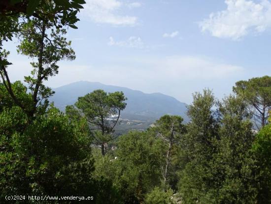 MAGNIFICA PARCELA  DE 622 M2 EN URB CANADA PARK EN TERMINO MUNICIPAL DE  VALLGORGUINA - BARCELONA