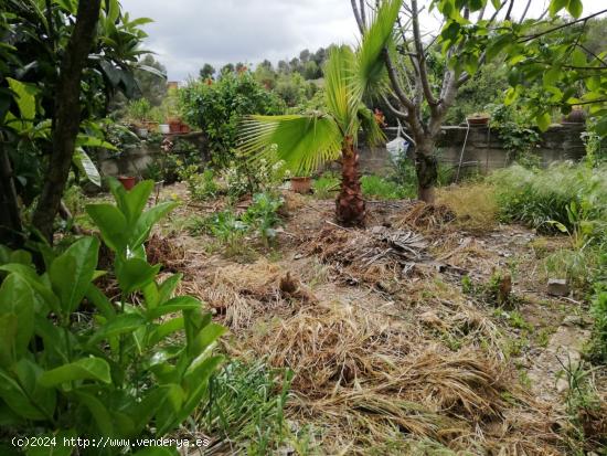  Terreno/ parcela a la venta en Esparraguera Mas Den Gall - BARCELONA 