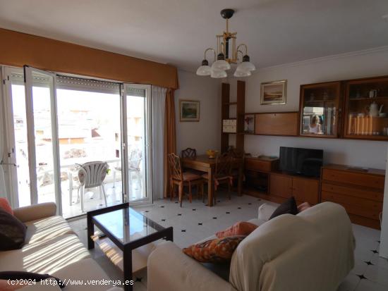 APARTAMENTO EN ALQUILER DE LARGA TEMPORADA - ALICANTE