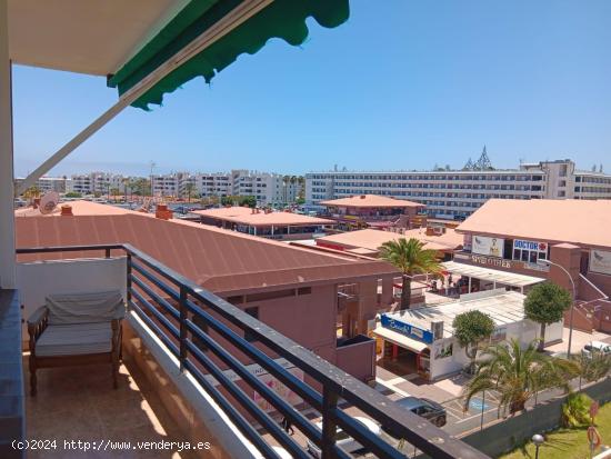 Piso en alquiler de 2 habitaciones en Playa del Inglés - LAS PALMAS