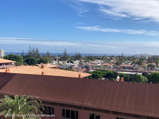 Piso en alquiler de 2 habitaciones en Playa del Inglés - LAS PALMAS