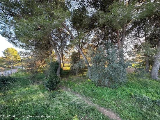 VENTA TERRENO EN IGUALADA ZONA SES OLIVERES 795m2 Y VISTAS!! - BARCELONA