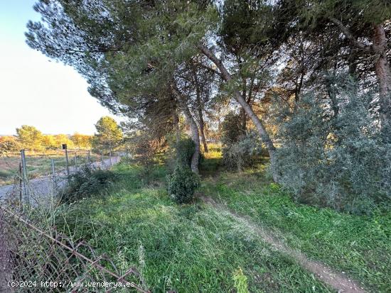 VENTA TERRENO EN IGUALADA ZONA SES OLIVERES 795m2 Y VISTAS!! - BARCELONA