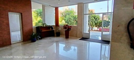 PISO DE TRES DORMITORIOS Y DOS BAÑOS CON GARAGE Y PISCINA.... ZONA JUZGADOS - ALICANTE