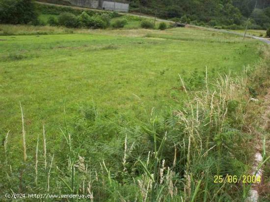  Terreno en Ames - Cornido - A CORUÑA 