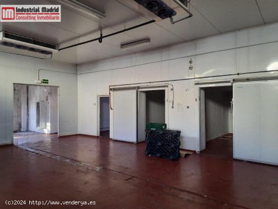 VENTA DE NAVE INDUSTRIAL FRIGORIFICA EN VELILLA DE SAN ANTONIO. - MADRID