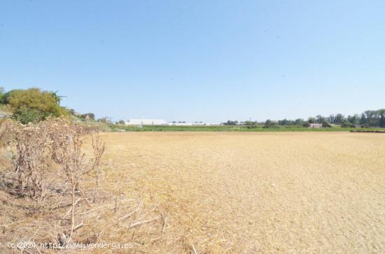 Urbis te ofrece un refugio natural en Doñinos de Salamanca, zona Santibañez del Río - SALAMANCA