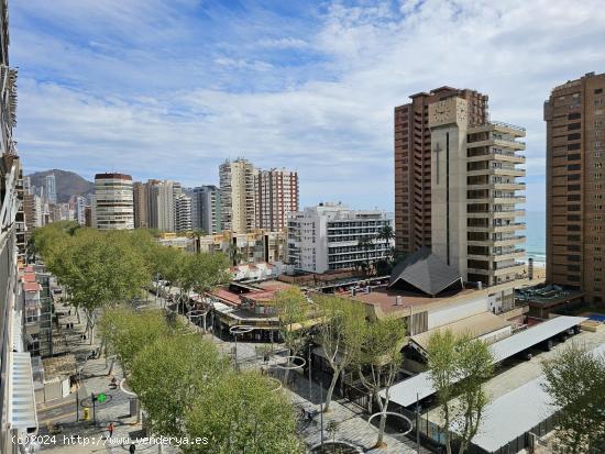 Espectacular Apartamento en Avenida Mediterráneo con Vistas al Mar - ALICANTE