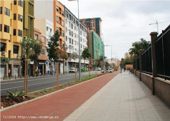 Se Alquila en Las Palmas de Gran Canaria - LAS PALMAS