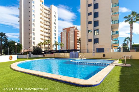  Bonito apartamento en Torrevieja - ALICANTE 