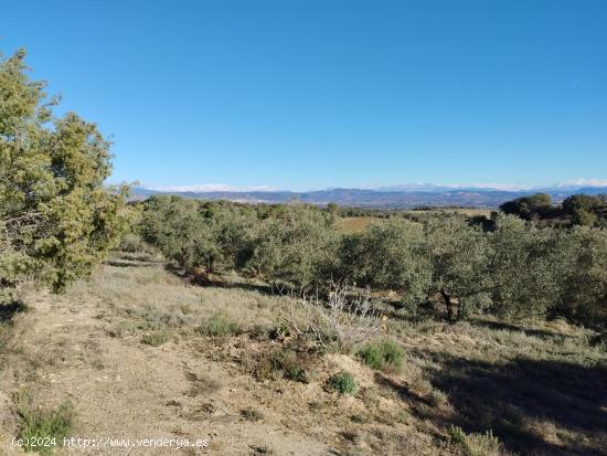  Finca rústica de 2.6 Hectareas en Barbastro - HUESCA 