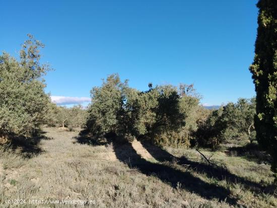 Finca rústica de 2.6 Hectareas en Barbastro - HUESCA