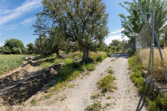 SUELO RÚSTICO EN LA PARCELA DE RÍO DILAR - GRANADA