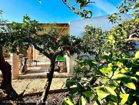 ZONA ROTONDAS DE LA CTRA. DEL AEROPUERTO - Terreno de 4700m² con CASA *AGUA POTABLE Y PUNTO DE LUZ*