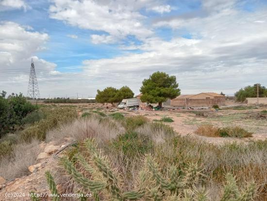 FINCA LOS CAMACHOS CON CASA - MURCIA