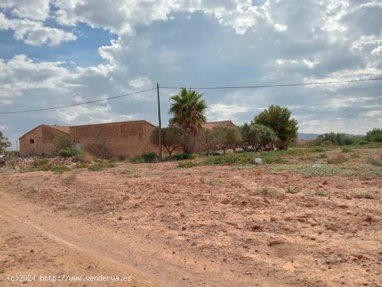 FINCA LOS CAMACHOS CON CASA - MURCIA