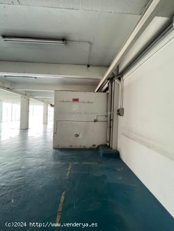 Local en planta de 280 m2 con 2 parcelas de garaje en Deusto - VIZCAYA