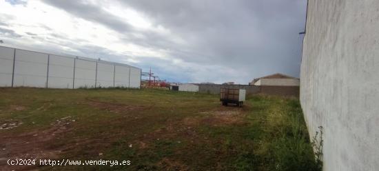 Terreno urbano en polígono Charca Musia de 1800 m2 - CACERES