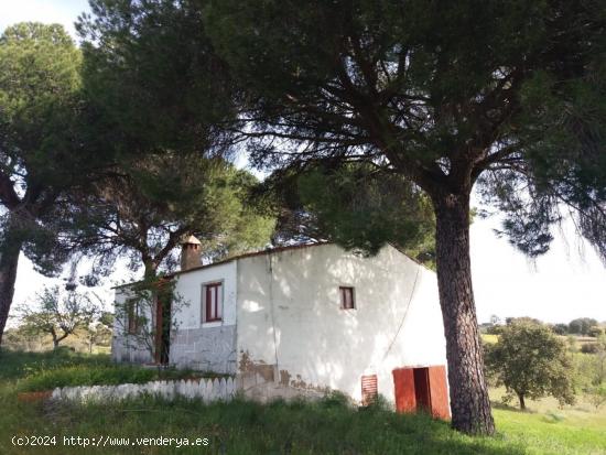 CHALET CON PARCELA - GARROVILLAS, CÁCERES - - CACERES