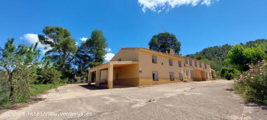  FINCA Y CASA RÚSTICA VIZCABLE NERPIO - ALBACETE 