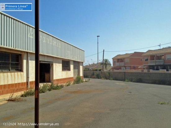 Venta de local comercial en el centro de Cabo de Palos - MURCIA