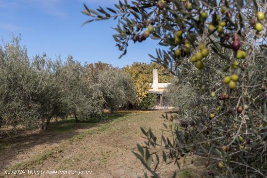 FINCA EN LA ZUBIA - GRANADA