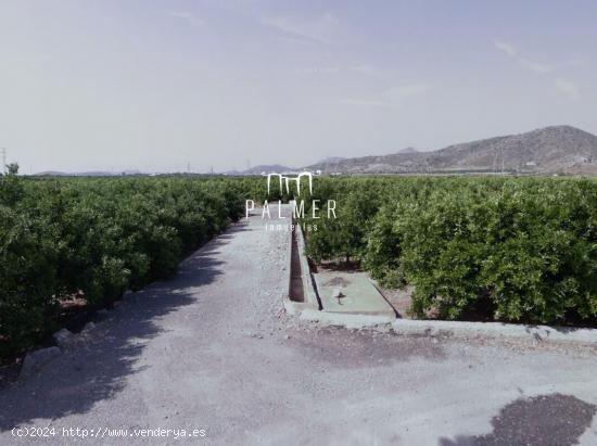 PARCELA EN PARTIDA TORRASA, LA VALL D'UIXÓ - CASTELLON