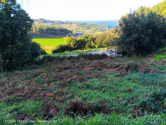  Tres fincas urbanas en A Lagoa (Chamín-Barrañán) - A CORUÑA 