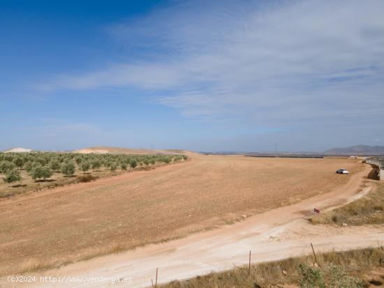 FINCA EN VENTA EN DARRO - GRANADA