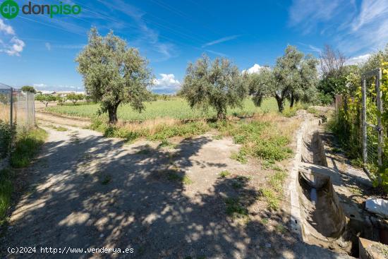 SUELO RÚSTICO EN LA PARCELA DE RÍO DILAR - GRANADA