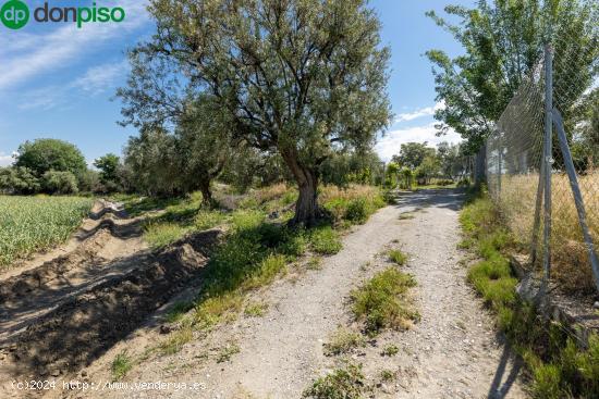 SUELO RÚSTICO EN LA PARCELA DE RÍO DILAR - GRANADA