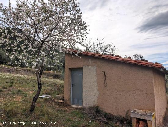 Finca de olivos centenarios en Valderrobres - TERUEL