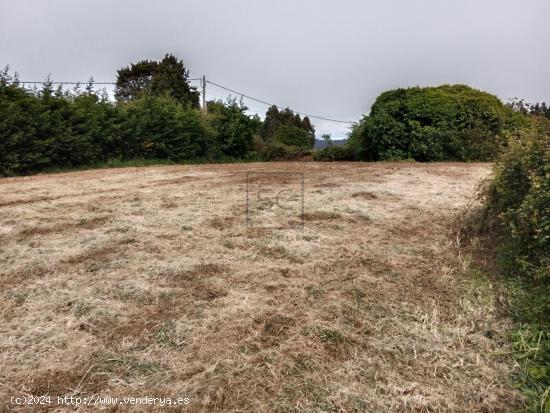 FINCA EDIFICABLE EN LAGO-VALDOVIÑO - A CORUÑA