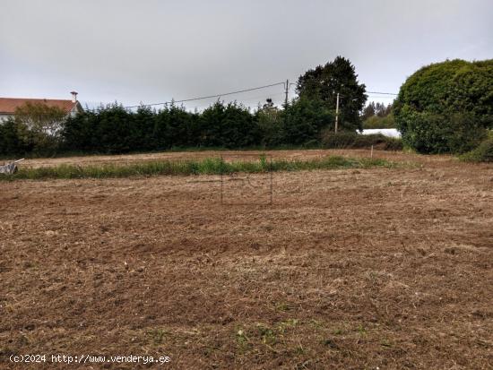 FINCA EDIFICABLE EN LAGO-VALDOVIÑO - A CORUÑA