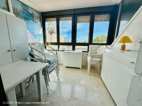 GRAN APARTAMENTO CON VISTAS AL MAR EN TORREVIEJA, 1 HAB, 1 BAÑO - ALICANTE