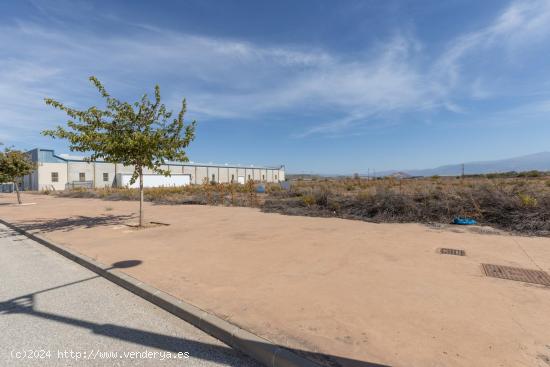 Magníficos terrenos industriales en Escuzar - GRANADA