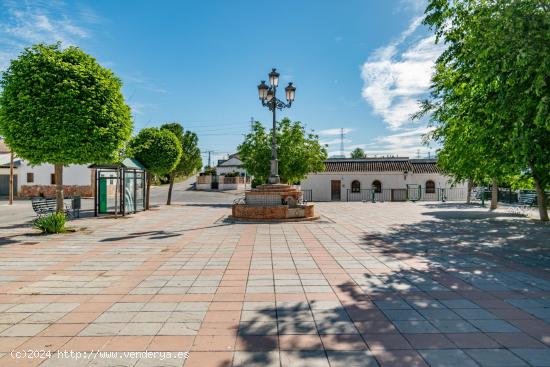 Parcela en Atarfe, te la vas a perder? - GRANADA