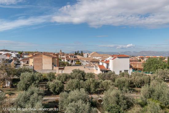 PISO EN ALHENDIN CON TERRAZA - GRANADA