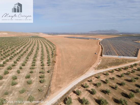 FINCA EN VENTA EN DARRO - GRANADA