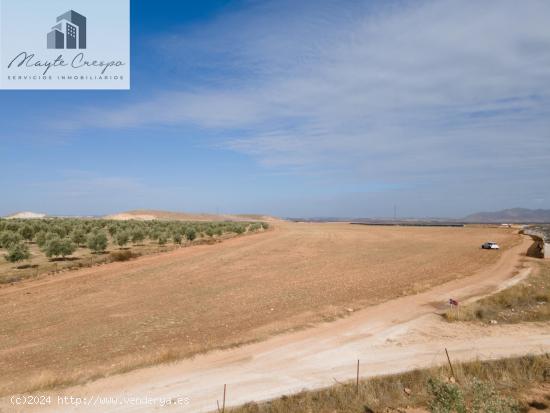 FINCA EN VENTA EN DARRO - GRANADA